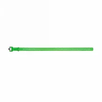Black Diamond Ski Strap 25 In envy green (3011)