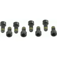 Sachs Schraubensatz, Schwungrad 1874 000 006