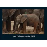 Vero Kalender Der Elefantenkalender 2025 Fotokalender DIN A4