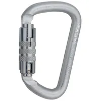 C.A.M.P. D Pro 2LOCK