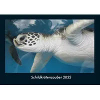 Vero Kalender Schildkrötenzauber 2025 Fotokalender DIN A4 von Tobias
