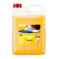 ROBBYROB Sommerscheibenreiniger Orange 5 Liter Kanister,