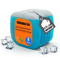BigDean 6 Stück Kühlakkus ideal für Kühltasche, Kühlboxen &