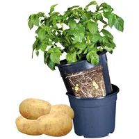Esschert Design Kartoffelpflanztopf Blau Ø 30,2 cm - PP