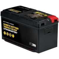 Büttner Elektronik Dometic Büttner Tempra TLB100F Lithium-Batterie, 100Ah