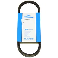 DAYCO 10A0610C Gürtel