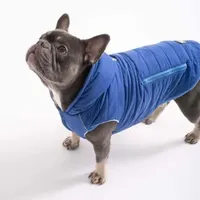 Paw wow Hundejacke IMMI Blau M