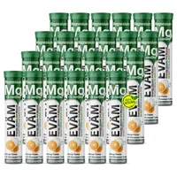 Eväm EVÄM Magnesium + Vitamin B Complex C Brausetabletten