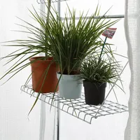 Bio Green BioGreen Gewächshaus-Regal für Überwinterungszelt Patioflora 80 80