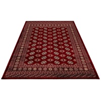 Lalee.avenue Teppich My Ariana 880", rood 40cm x 60cm
