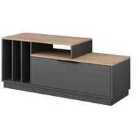 Vicco Betti Lowboard 120 x 49,9 cm Anthrazit/Sonoma Holzwerkstoff