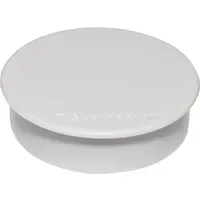 SOENNECKEN Magnet 4807 rund 32mm grau 10 St./Pack.