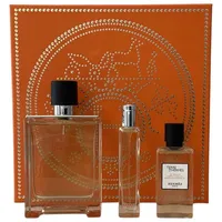 Hermès Terre d'Hermès Eau de Toilette 100 ml +