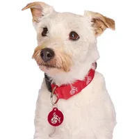 1. FC Köln LED HUNDEHALSBAND Gr. M