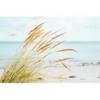 A.S. Création Vliestapete A.S. CRÉATION "Strandtapete Dünengras Fototapete Hellblau