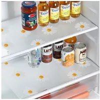 Luxuskollektion 10er Set Antibakterielle Kühlschrankmatten