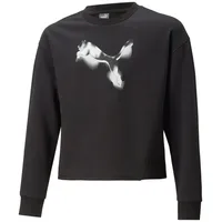 Puma Mädchen Pullover Modern Sports Crew G 673475-01 128