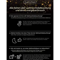 Lumineo Lichterkette Compact 3000 LED klassisch warm 60 m