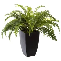 Atmosphera Créateur d'intérieur Kunstpflanze Tüpfelfarn Zimmerpflanze, Atmosphera Créateur d'intérieur,