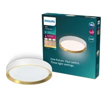 Philips Hanno 2700 lm)