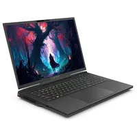 Captiva Advanced Gaming I86-099 17,3" Core i9-14900HX 16 GB