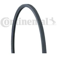 Continental Ctam Keilrippenriemen 2PJ838