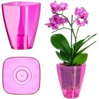 Kadax Blumentopf, Orchideentopf, Topf für Orchidee, Knabenkraut, Gänseblümchen, Rosa