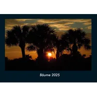 Vero Kalender Bäume 2025 Fotokalender DIN A4 von Tobias