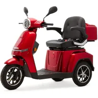 Efun ECO ENGEL 506 Rot, 25 km/h, 1000 Watt