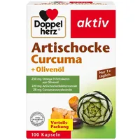 Queisser Artischocke Curcuma+Olivenöl Kapseln