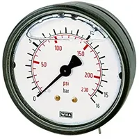 Riegler Glyzerinmano., Kunststoff, G 1/4 hinten zentr., 0-16,0 bar,