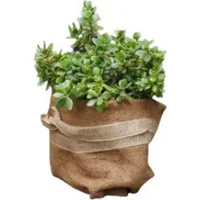 Trendline Kokosschutz-Matte 1,5 x 0,5 m