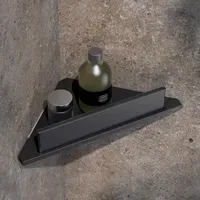 Keuco Aveno Eckduschablage mit Glasabzieher, verdeckte Befestigung, 14657370100,