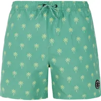 Protest Alvis Badeshorts - Frost Green S