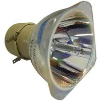 Philips Beamerlampe (nur Leuchtmittel) für BENQ (ersetzt: 5J.JCJ05.001)
