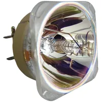 Philips Beamerlampe (nur Leuchtmittel) für CANON (ersetzt: LV-LP42, 1907C001)