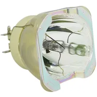 Philips Beamerlampe (nur Leuchtmittel) für OPTOMA (ersetzt: SP.79P03GC01, BL-FU465B)