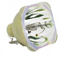Philips Beamerlampe (nur Leuchtmittel) für CANON (ersetzt: LX-LP02, 1035C001)