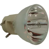 Osram Beamerlampe (nur Leuchtmittel) für NEC (ersetzt: NP36LP)