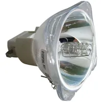 Osram Beamerlampe (nur Leuchtmittel) für DIGITAL PROJECTION (ersetzt: 111-146)