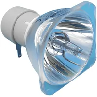 Osram Beamerlampe (nur Leuchtmittel) für Optoma (ersetzt: SP.8NS01GC01)