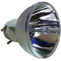 Osram Beamerlampe (nur Leuchtmittel) für BENQ (ersetzt: 5J.JE905.001)