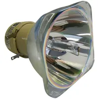 Kompatible Ware Beamerlampe (nur Leuchtmittel) für NEC (ersetzt: NP29LP)