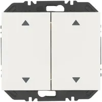 Berker Modul Wippe 2f 24127209