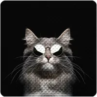 Sanilo Badematte Cool Cat