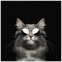 Sanilo Badematte »Cool Cat«,