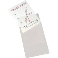 Eichner Magnet-Sichttasche aus Hart-PVC DIN A4 hoch, grau