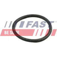 Fast Dichtung, Kühlmittelrohrleitung FT49918