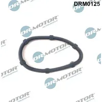 DR.MOTOR AUTOMOTIVE Dichtung, DRM0125