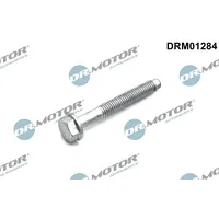 DR.MOTOR AUTOMOTIVE Schraube, Einspritzdüsenhalter DRM01284